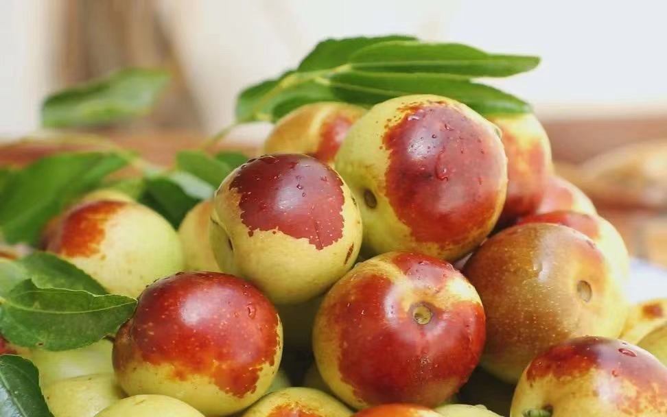 明明是&ldquo;冬棗&rdquo;,為什么現在是最佳賞味期?